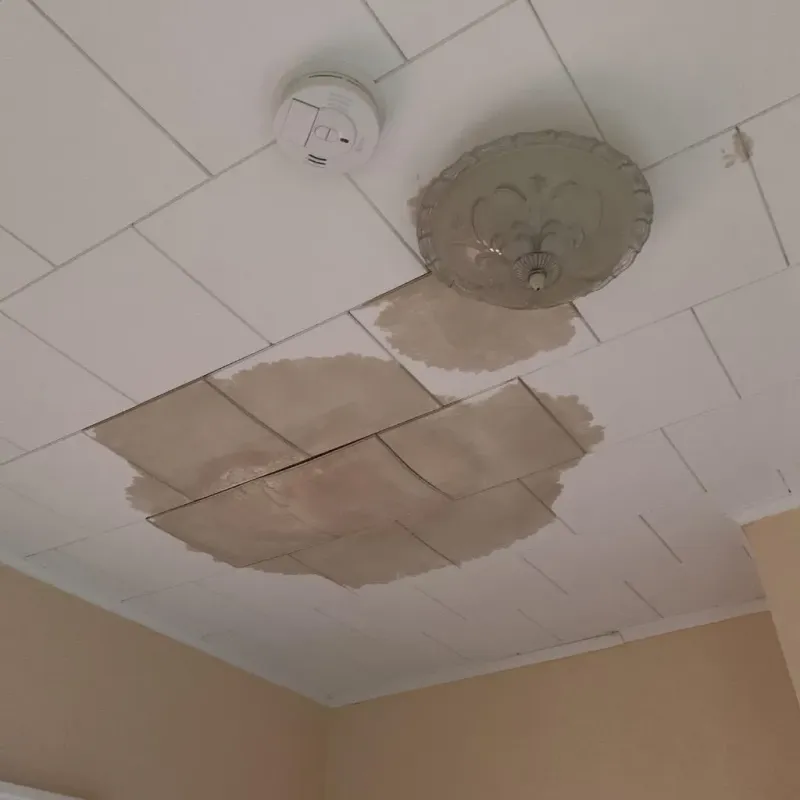 Ceiling Water Damage Repair in Troy, NH