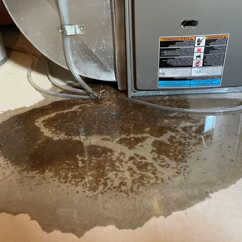 Pipe Burst and Leak Restoration in Troy, NH